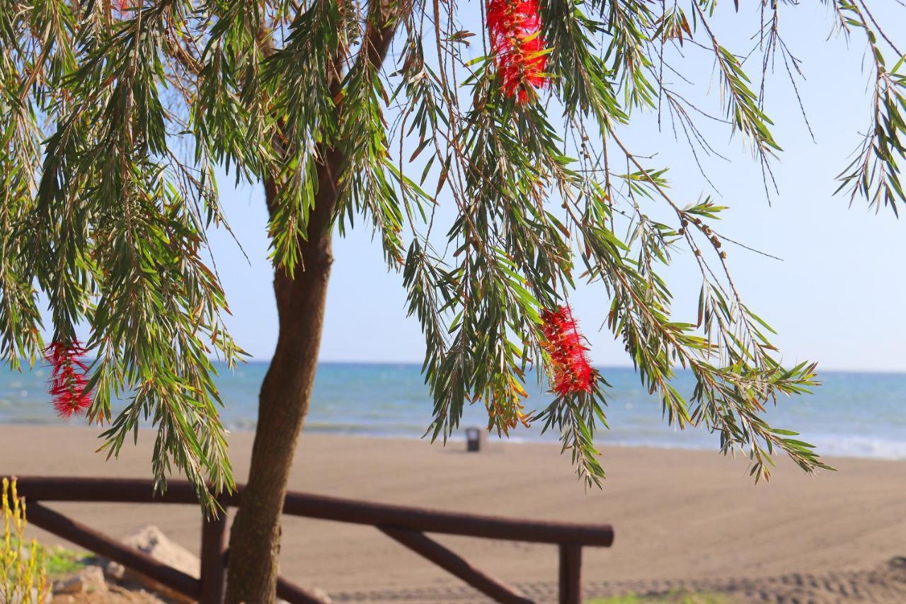 Hostal La Estacion Benajarafe Εξωτερικό φωτογραφία
